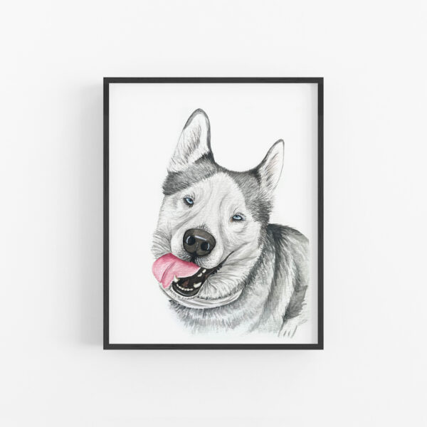 A framed watercolor pet painting of a husky sticking its tongue out