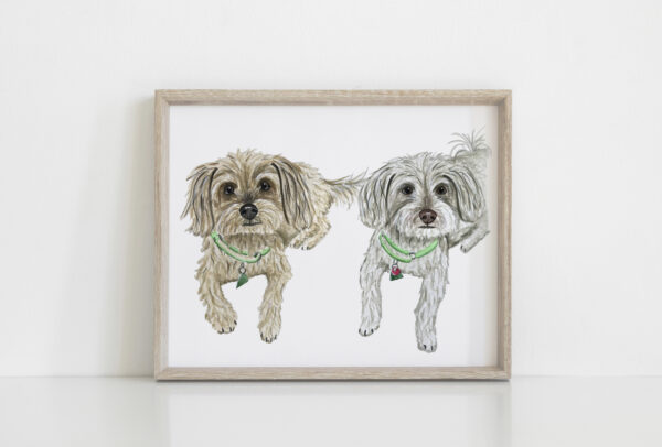 A framed custom pet portrait featuring two small shaggy dogs wearing their collars.