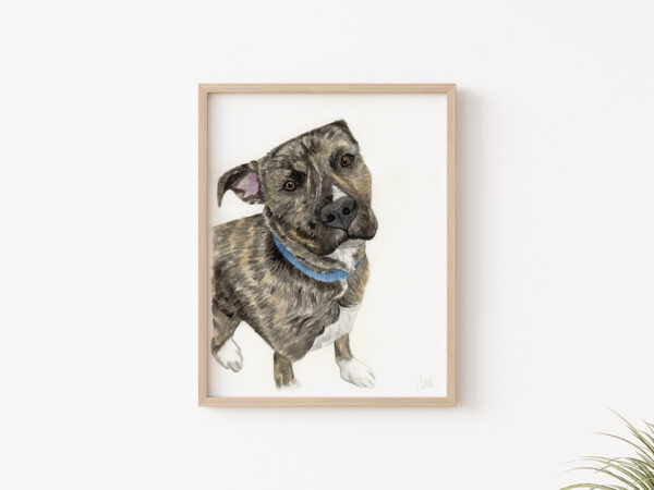 A framed painting of a custom pet portrait of a brindle pit bull mix.