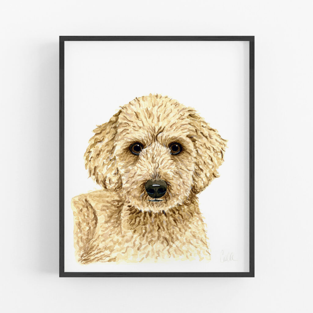 A framed watercolor pet portrait by Colle Creative of a goldendoodle.