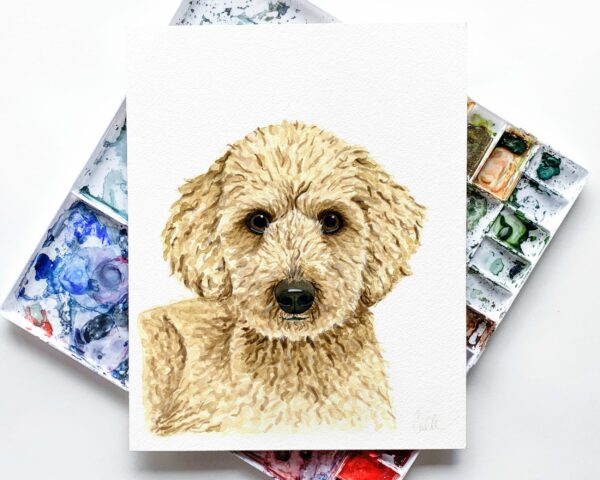 A framed watercolor custom pet portrait by Colle Creative of a goldendoodle.