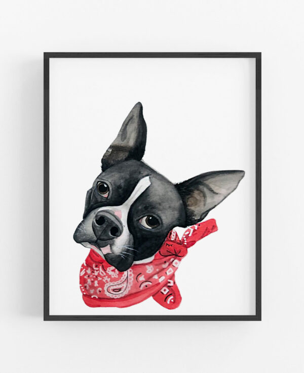 A framed watercolor custom pet portrait by Colle Creative of a boston terrier in a bandana.