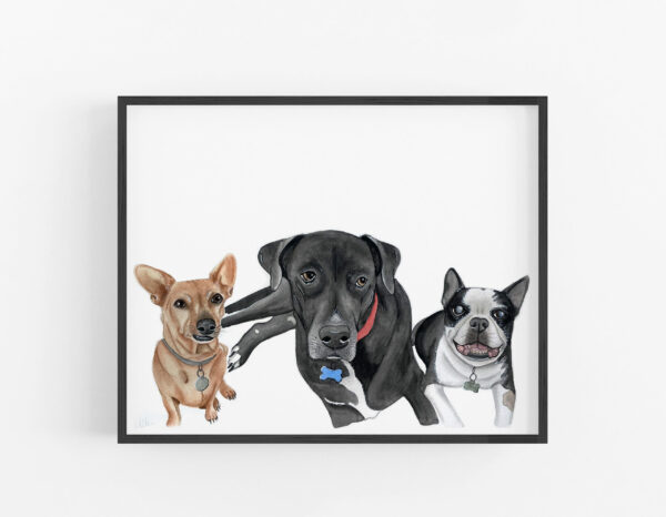 A framed watercolor custom pet portrait by Colle Creative of three dogs - a chihuahua, a great dane, and a boston terrier.